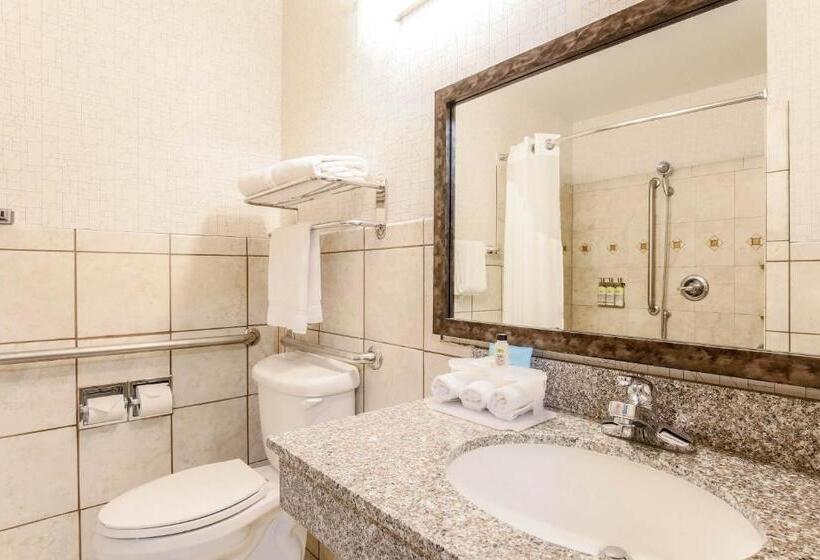 디럭스 스위트 킹 침대, Holiday Inn Express Lancaster, An Ihg