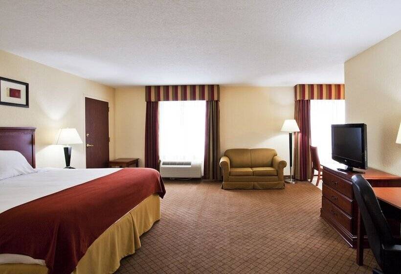 스위트, Holiday Inn Express St. Petersburg North / I 275, An Ihg