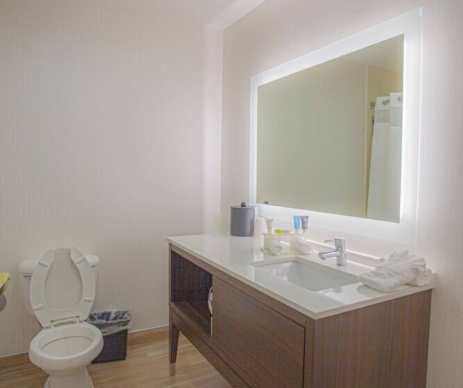 스위트, Holiday Inn & Suites Spring   The Woodlands