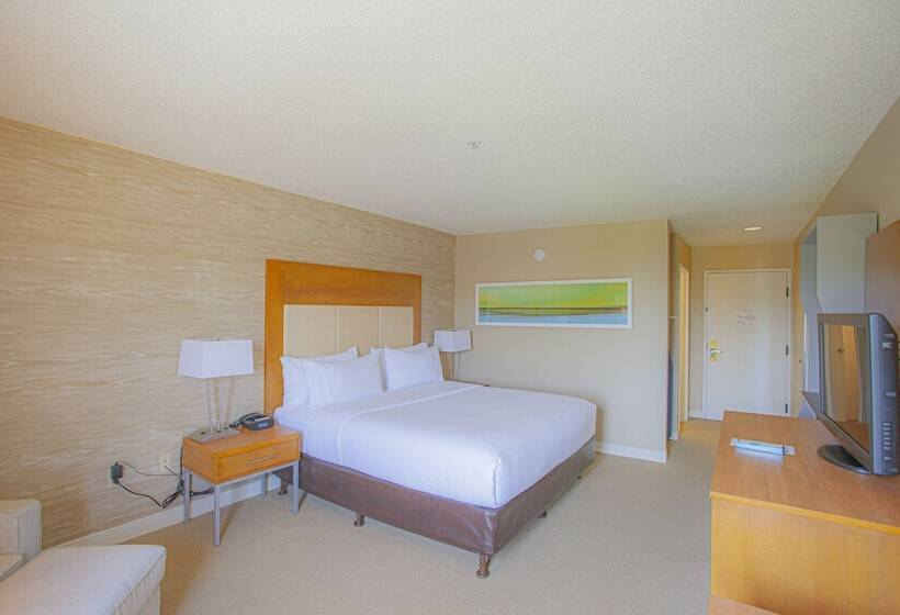 Номер Стандарт, Holiday Inn & Suites Spring   The Woodlands