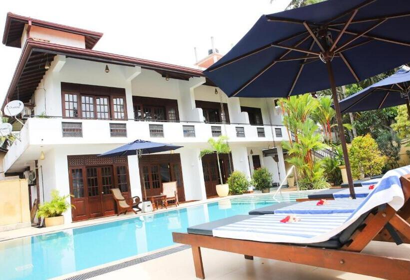 Апартаменты Superior 1 Спальня, Sky And Sand Guesthouse