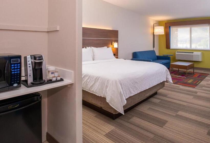 스탠다드 룸 킹사이즈 침대, Holiday Inn Express Hotel & Suites Gunnison, An Ihg