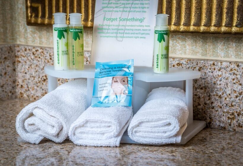 스탠다드 룸, Holiday Inn Express Hotel & Suites Gunnison, An Ihg