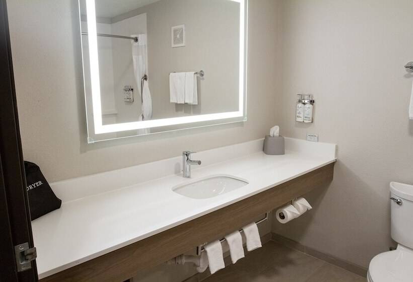 장애인을 위한 스위트, Holiday Inn Express Oneill By Ihg