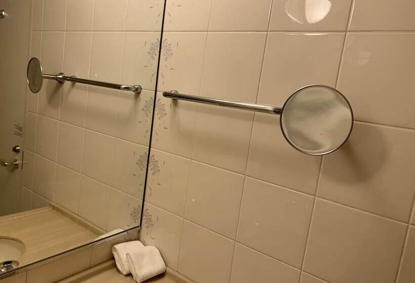 اتاق سوپریور یک تخته, Rihga Royal Hotel Niihama