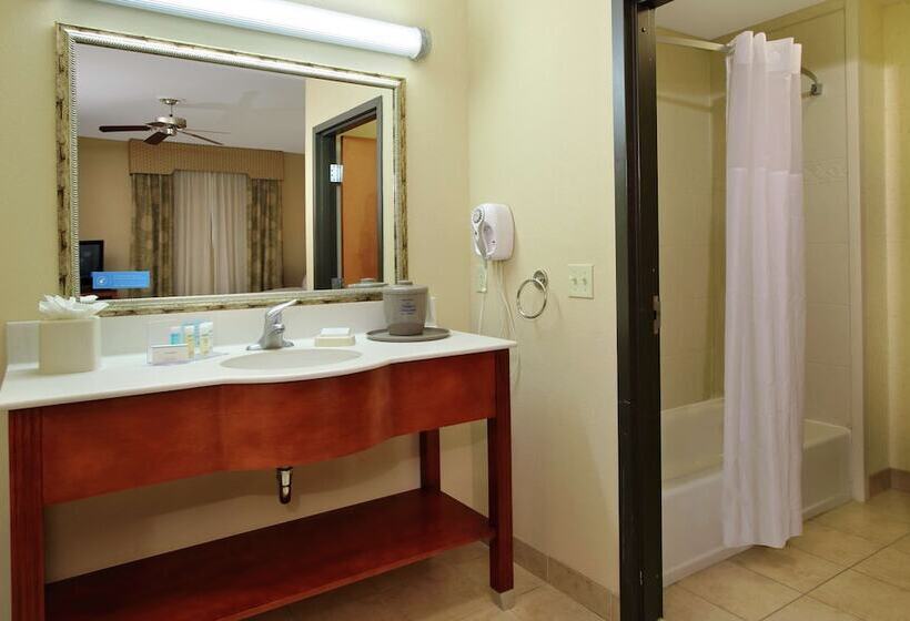 חדר סטודיו סטנדרד, Hampton Inn & Suites Buffalo