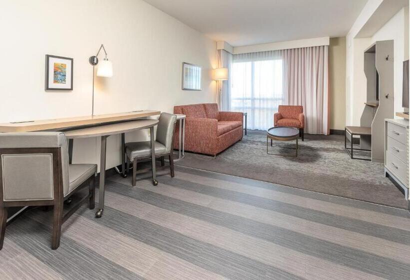 Suite Letto King, Holiday Inn Hotel & Suites Memphis Wolfchase Galleria, An Ihg