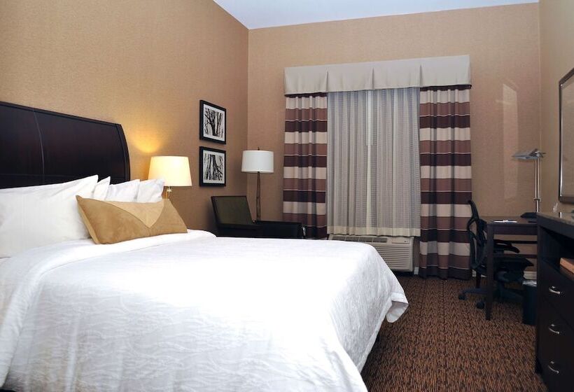 带大床的标准间, Hilton Garden Inn St. Louis Airport