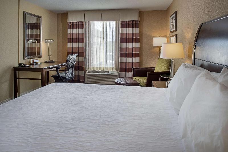 带大床的标准间, Hilton Garden Inn St. Louis Airport