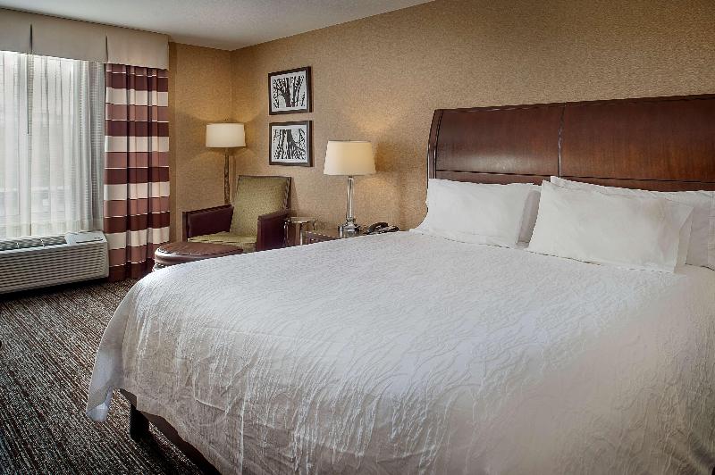 高级客房, Hilton Garden Inn St. Louis Airport