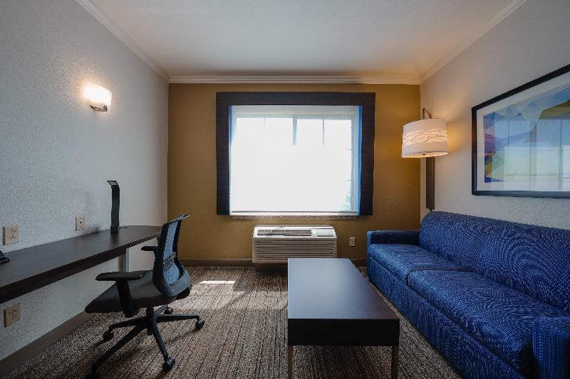 Люкс Кровать Кинг, Holiday Inn Express & Suites Santa Clara   Silicon Valley, An Ihg