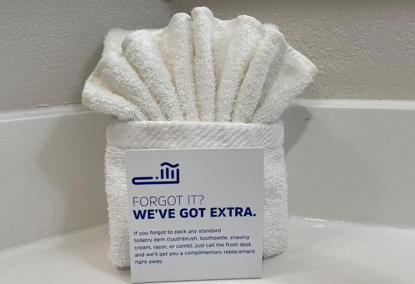 스탠다드 룸 킹사이즈 침대, Holiday Inn Express Burlington, An Ihg