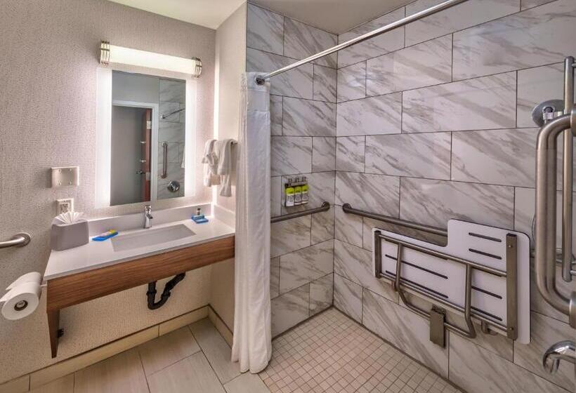 اتاق استاندارد با تخت بزرگ برای معلولان, Holiday Inn Express Reno Airport, An Ihg