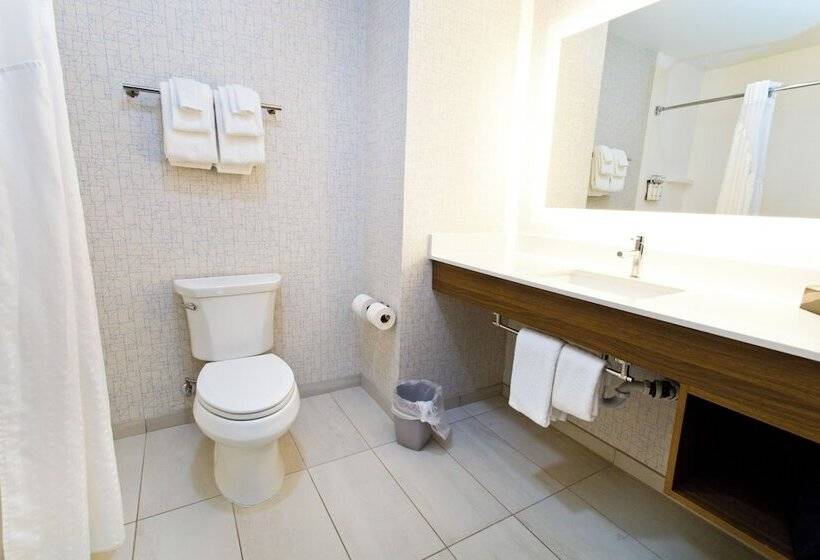 Люкс, Holiday Inn Express & Suites Sacramento Ne Cal Expo, An Ihg