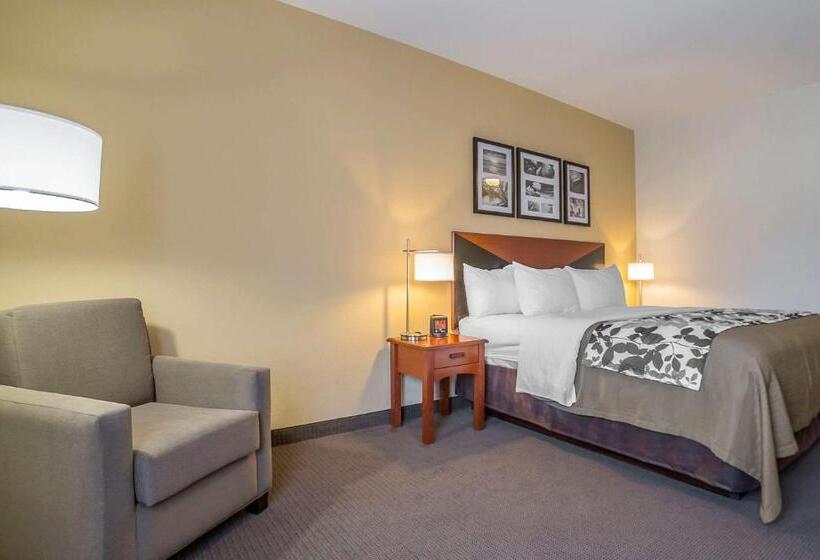 Стандартный Номер Кровать Кинг, Sleep Inn & Suites