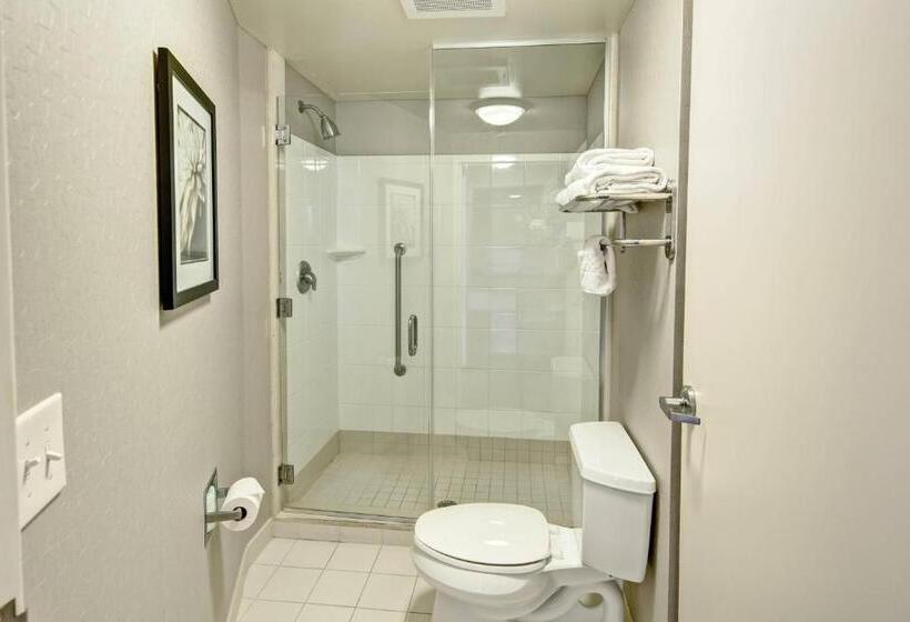 Студио Стандарт Кровать Кинг, Springhill Suites By Marriott New Bern