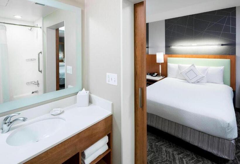 Студия Стандарт, Springhill Suites By Marriott Salt Lake City Airport