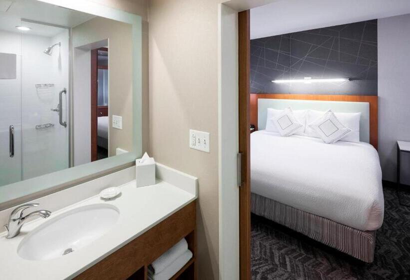 Студио Стандарт Кровать Кинг, Springhill Suites By Marriott Salt Lake City Airport