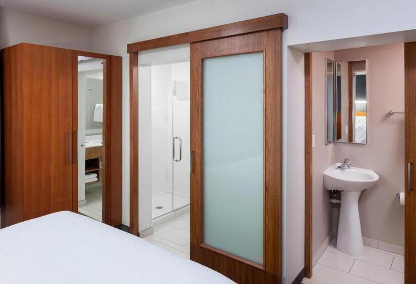 Студио Стандарт Кровать Кинг, Springhill Suites By Marriott Salt Lake City Airport