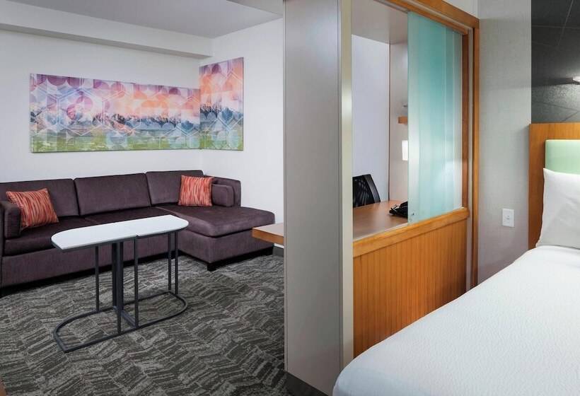 Студия Стандарт, Springhill Suites By Marriott Salt Lake City Airport