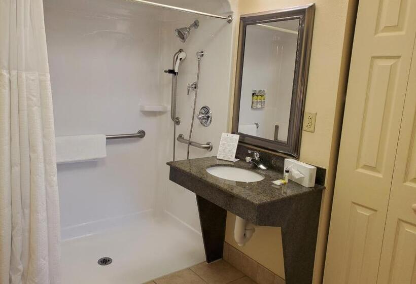 Номер Стандарт Адаптированный для Инвалидов, Staybridge Suites Rochester University, An Ihg