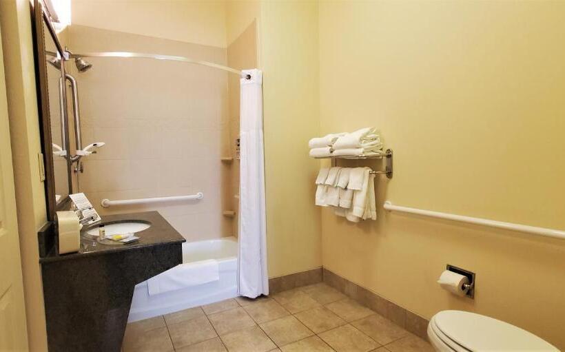 Люкс Адаптированный для Инвалидов, Staybridge Suites Rochester University, An Ihg