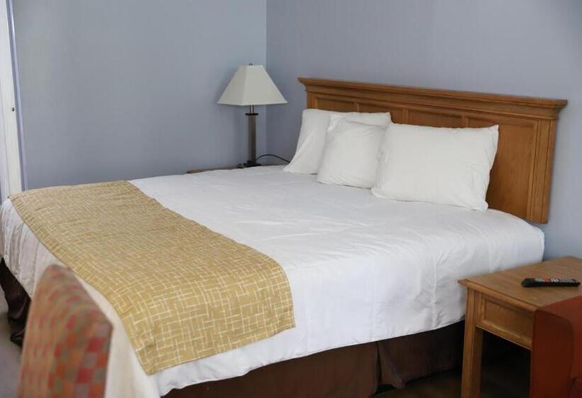 Стандартный Номер Кровать Кинг, Super 8 By Wyndham Florence Sc I 95 North   Hwy 76