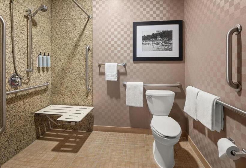 Люкс Кровать Кинг, Residence Inn Minneapolis Plymouth