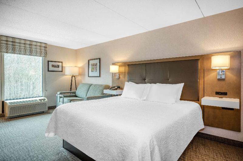 Студио Стандарт Кровать Кинг, Hampton Inn Raynhamtaunton