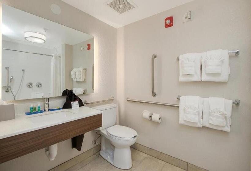 Standard-invahuone King-vuode, Holiday Inn Express Hotel & Suites Orlando   Apopka, An Ihg