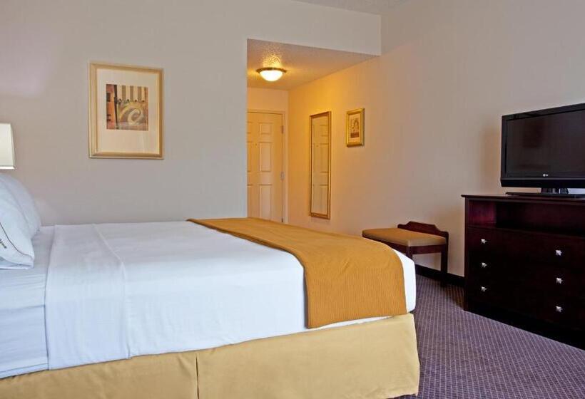 身障者適用キングサイズベッドルーム, Holiday Inn Express & Suites Chicago West O Hare Arpt Area , An Ihg