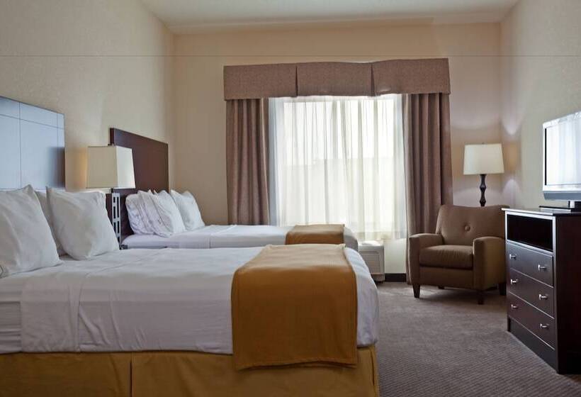 身障者適用スタンダードルーム, Holiday Inn Express & Suites Chicago West O Hare Arpt Area , An Ihg
