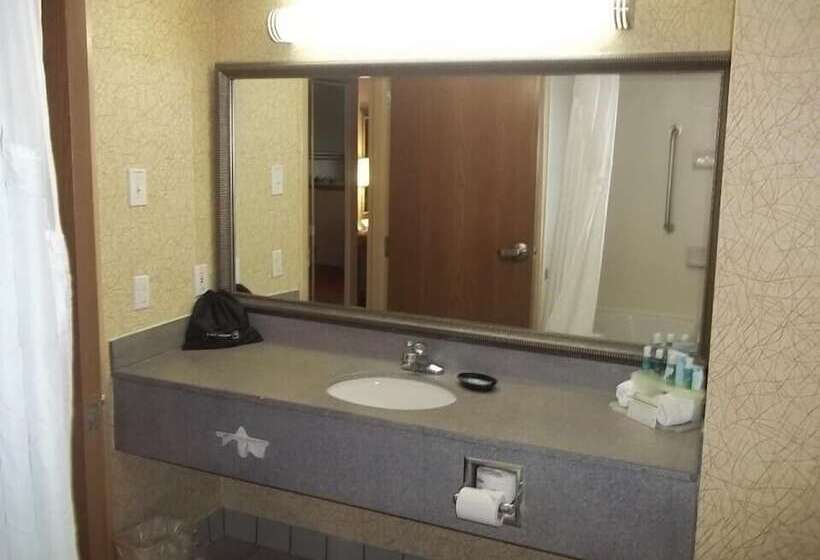 Люкс Повышенной Комфортности, Baymont Inn & Suites By Wyndham Findlay