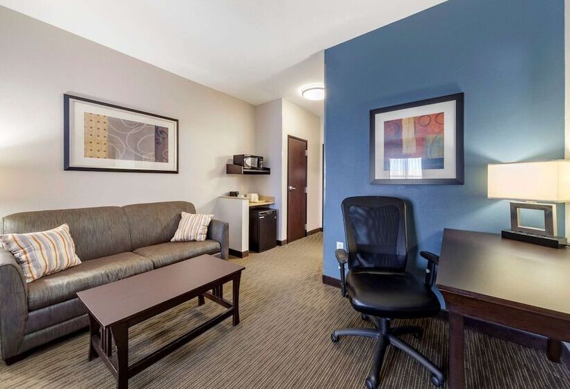 Люкс, Comfort Inn & Suites Oklahoma City West  I40