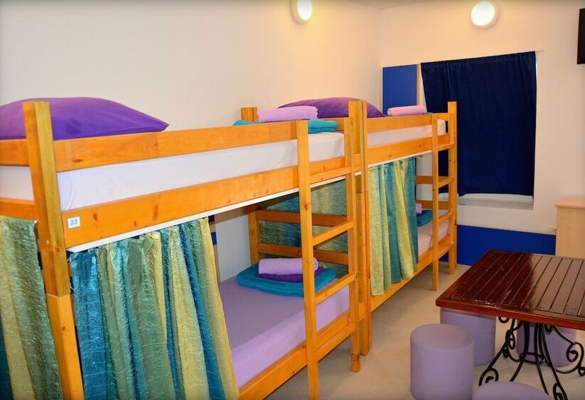 تختخواب در اتاق مشترک, Montenegro Backpackers Home Budva