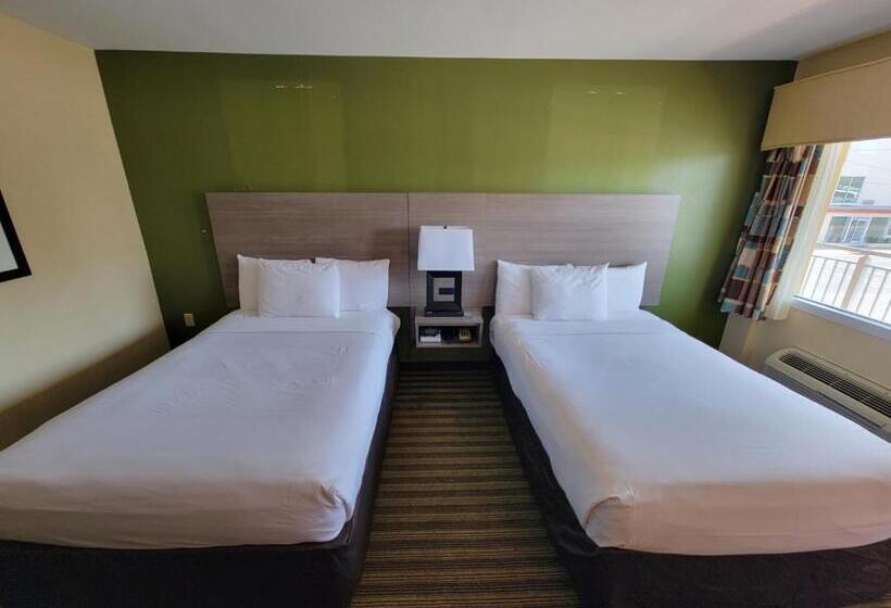 스탠다드 룸 더블 침대 2개, Quality Inn Flamingo
