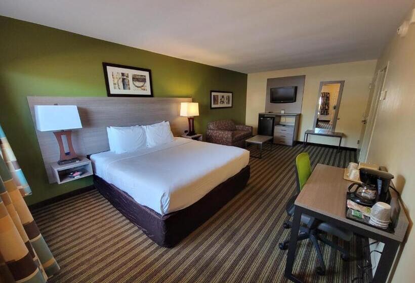 스탠다드 룸 킹사이즈 침대, Quality Inn Flamingo
