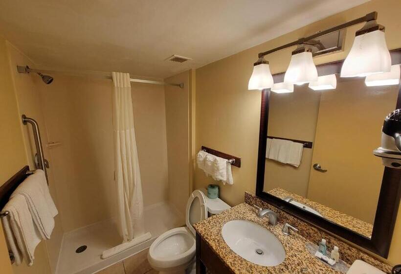 장애인을 위한 킹사이즈 침대 스탠다드 룸, Quality Inn Flamingo