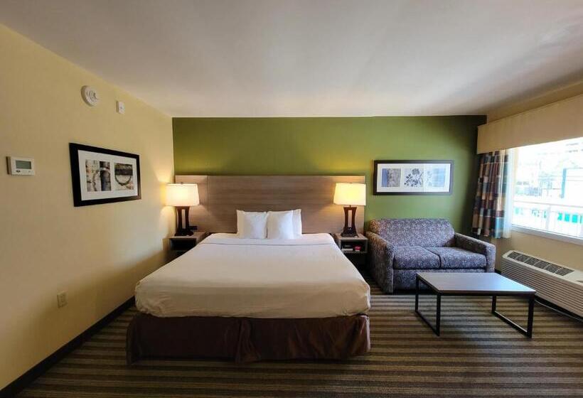 장애인을 위한 킹사이즈 침대 스탠다드 룸, Quality Inn Flamingo