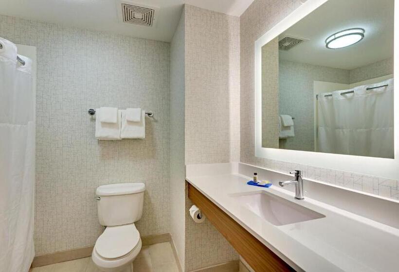 Номер Стандарт Адаптированный для Инвалидов, Holiday Inn Express Hotel And Suites Weatherford, An Ihg