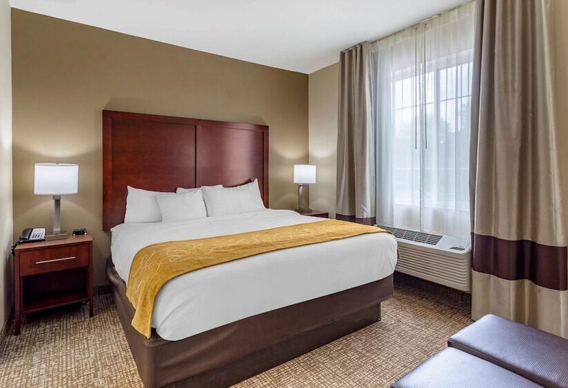 스탠다드 룸, Comfort Suites