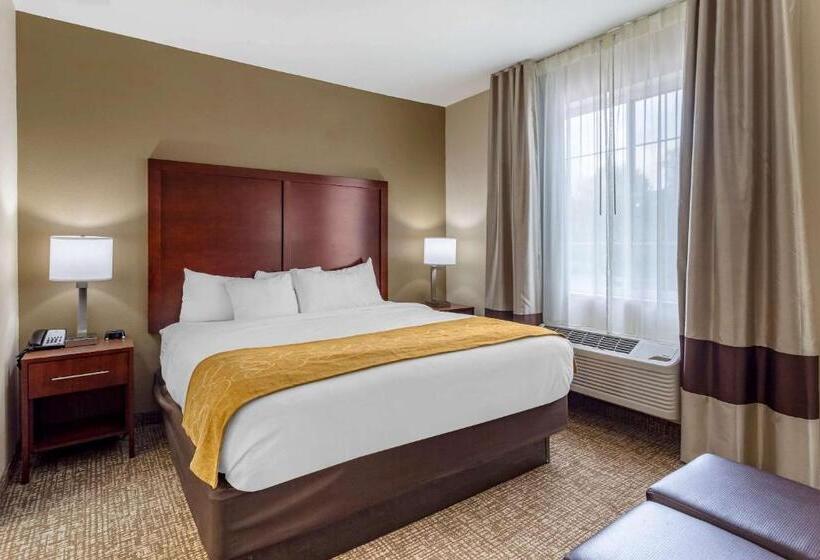 스탠다드 룸, Comfort Suites