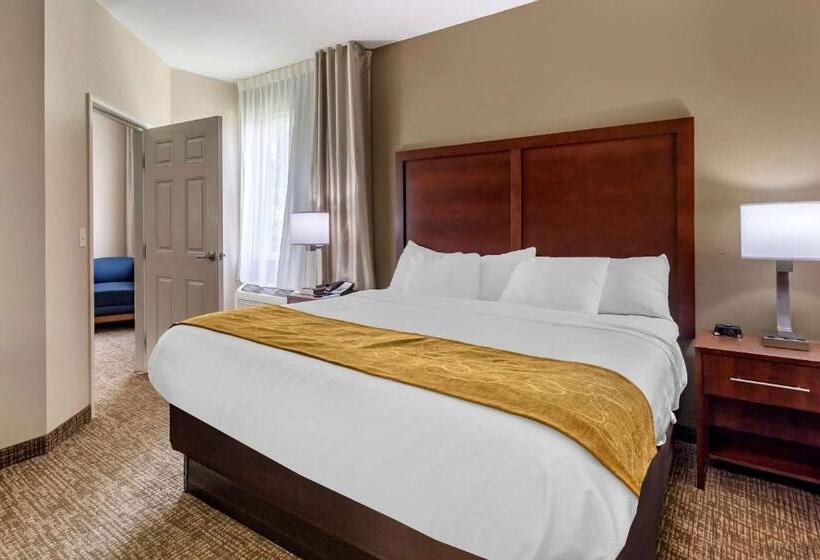 수피리어 스위트, Comfort Suites