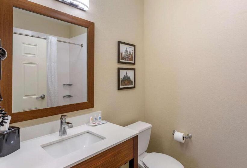4인용 스탠다드 룸, Comfort Suites