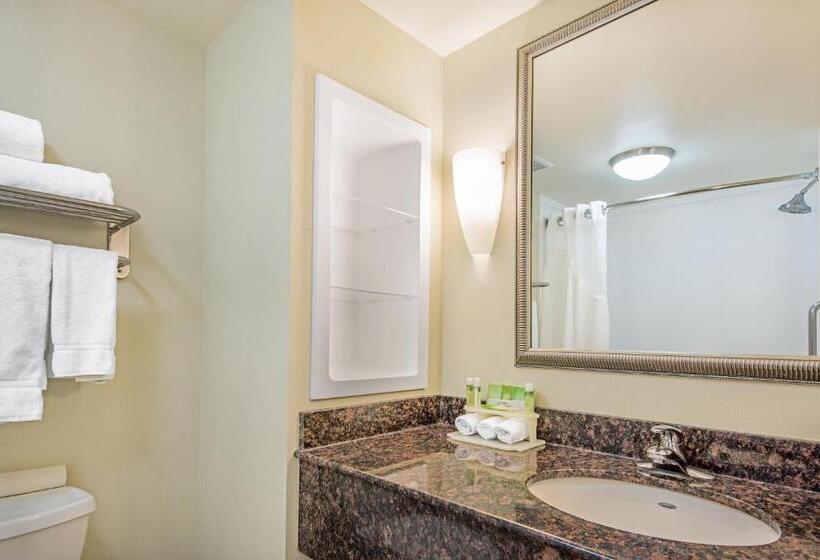 Люкс Кровать Кинг, Holiday Inn Express Hotel & Suites Clute Lake Jackson, An Ihg
