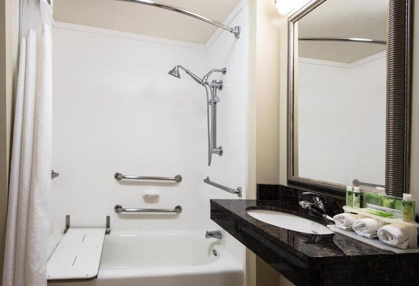 Стандартный Номер Кровать Кинг, Holiday Inn Express Hotel & Suites Clute Lake Jackson, An Ihg