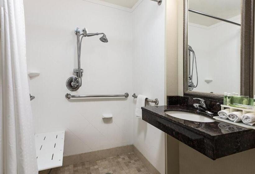 Люкс Адаптированный для Инвалидов, Holiday Inn Express Hotel & Suites Clute Lake Jackson, An Ihg