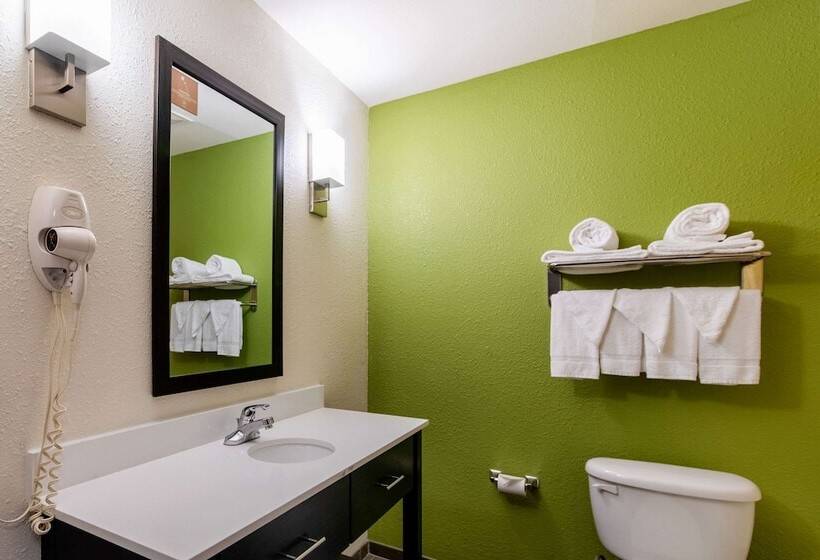 带2个双人床的标准工作室, Sleep Inn & Suites Near Fort Cavazos