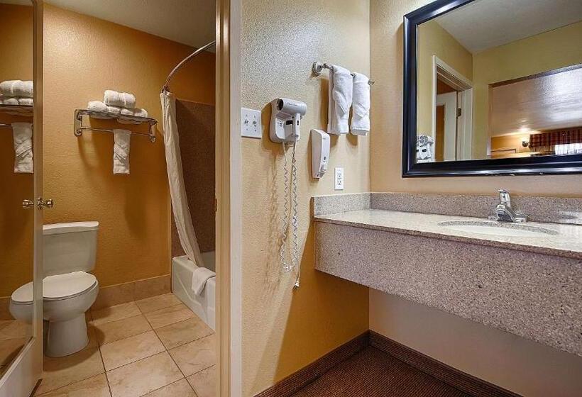 Стандартный Номер Кровать Кинг, Best Western Executive Inn