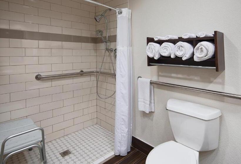 Номер Стандарт Адаптированный для Инвалидов, Best Western Houma Inn